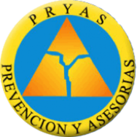 PRYAS CAPACITACION LIMITADA