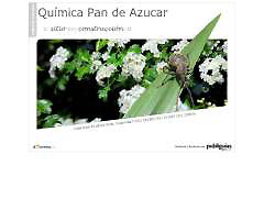Química Pan de Azúcar
