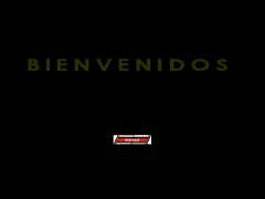 Repuestos Champión Car