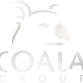 RAUL DANIEL TOLOSA CONSULTORIA COALA GROUP EMPRESA INDIVIDUAL DE RESPONSABILIDAD