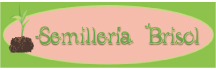 Semillería Brisol