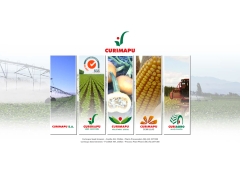 Sociedad Comercial Curimapu S.A.