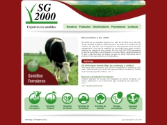 SG 2000
