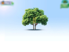 Sofruco Alimentos Ltda.