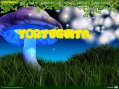 Sala Cuna y Jardín Infantil Tortuguita