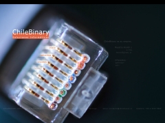Servicios Computacionales Chilebinary Limitada
