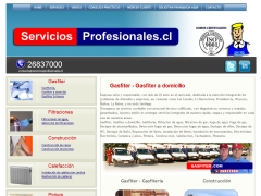 Servicios Profesionales punto cl