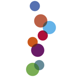 SAN CLEMENTE FOODS S.A.