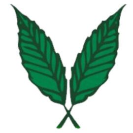 SOC M & M PAISAJISMO Y PLAGAS LIMITADA