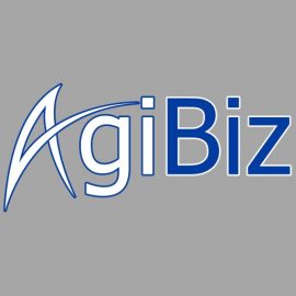 SOCIEDAD DE SERVICIOS INTEGRALES, ASESORES Y CONSULTORES FLORES Y AGUILERA LIMIT