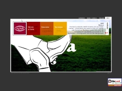 SOCIEDAD INMOBILIARIA Y DE RENTAS E INVERSIONES ARTEPIEL LIMITADA