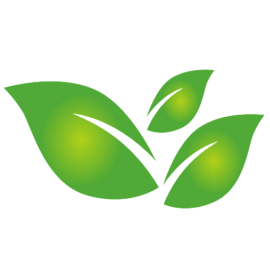 SOUTH TRADE MARKETING LIMITADA