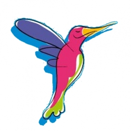 SOCIEDAD EDUCACIONAL COLIBRI LIMITADA