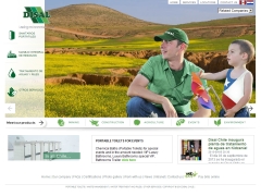 SOC COMERCIAL E INDUSTRIAL M ROOTER CHILE LIMITADA