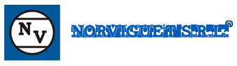 Norviguet SRL