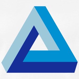 SOCIEDAD CONSTRUCTORA DE OBRAS E INSTALACIONES NAYU LIMITADA