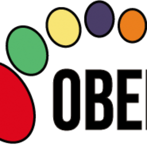 SOCIEDAD INDUSTRIAL DE CALZADOS MEDICOS LIMITADA