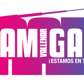 SOCIEDAD DE RADIODIFUSION, TELEVISION Y PUBLICIDAD RADIO AMIGA LIMITADA