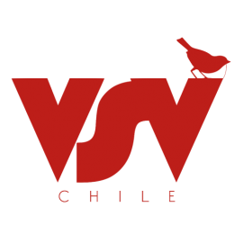 SOCIEDAD COMERCIALIZADORA VSV CHILE LIMITADA