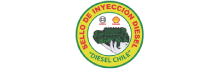Talleres Diesel Chile Chaparro