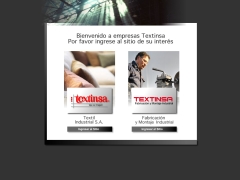 Textinsa