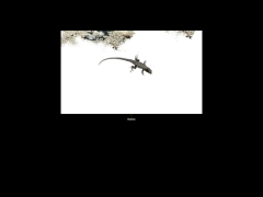 Tierra del Sol Consultores