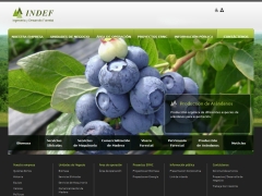 TRANSPORTES Y MAQUINARIAS INDEF LIMITADA