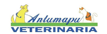 Veterinaria Antumapu