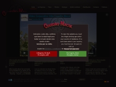 Viña Cousiño Macul