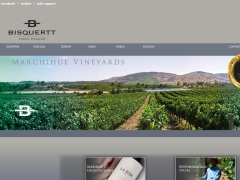 Viña Bisquertt