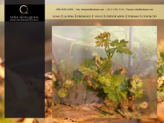 Viña Huelquen Ltda.