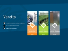 Venetto Ingeniería
