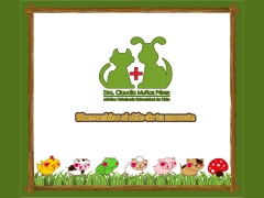 Veterinaria a Domicilio Dra Claudia Muñoz P.