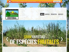 Viveros Cristobal Limitada