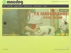 Veterinaria Macdog