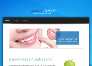 Vicente Enrique Godoy Coronado