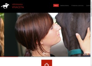 Veterinaria Vivaceta