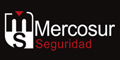 Mercosur Seguridad