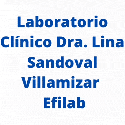 Laboratorio Clínico Doctora Lina Sandoval Villamizar -Efilab