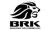 Brk Ltda