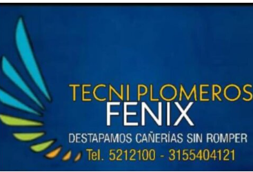 Tecniplomeros Fenix