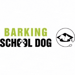 Barking School Dog - Centro De Educación Canino