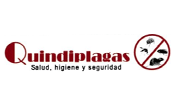 Quindiplagas