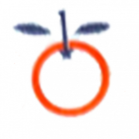 Zegroup S.A.S. - Zumoexpress