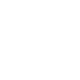 Dar Ayuda Temporal S.A.