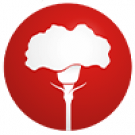 S.B. Talee De Colombia S.A.