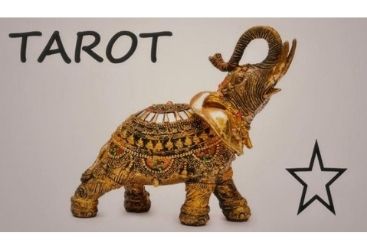 Lectura Tarot Bogotá