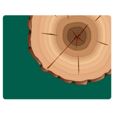 Aserrío Madepátula S.A.S.