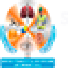 Servicios Integrales De Salud Ocupacional Los Ange