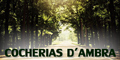 Cocherias D'Ambra
